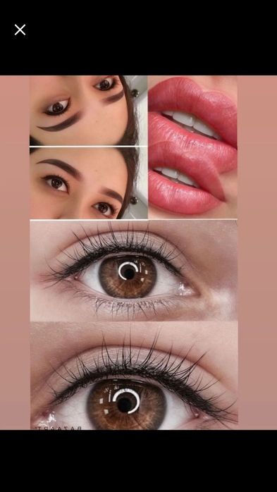 Бровист+перманент