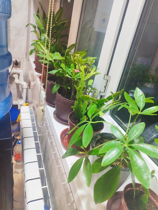 Квартира  учтепа туманида сотилади 2*3/2/9