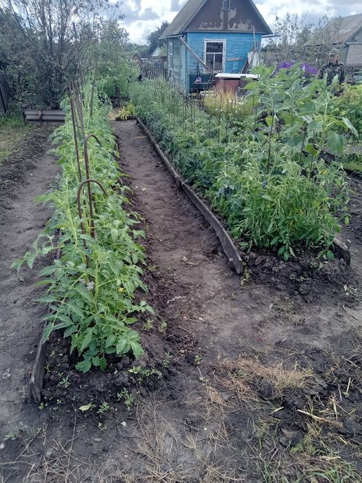 Продам дачу район Новопавловки