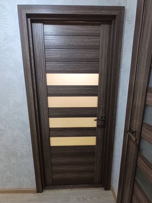 Двери меж комнатные и стальной