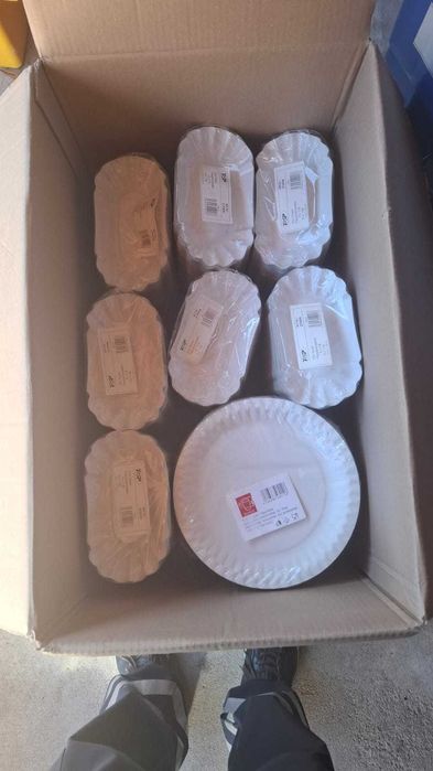 Farfurii de hârtie de unică folosință