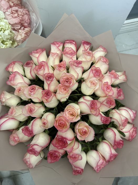 Цветы роза 51, свежие живые продаю срочно