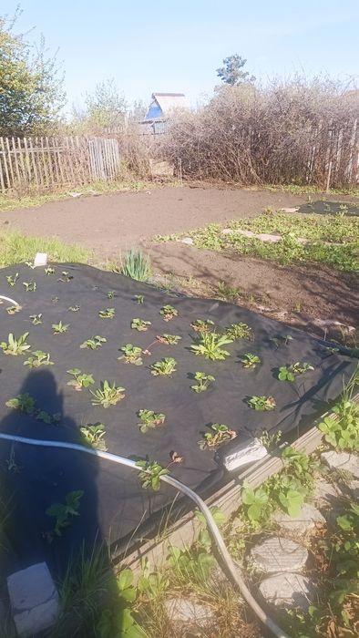 Продам дачу СО Дархан