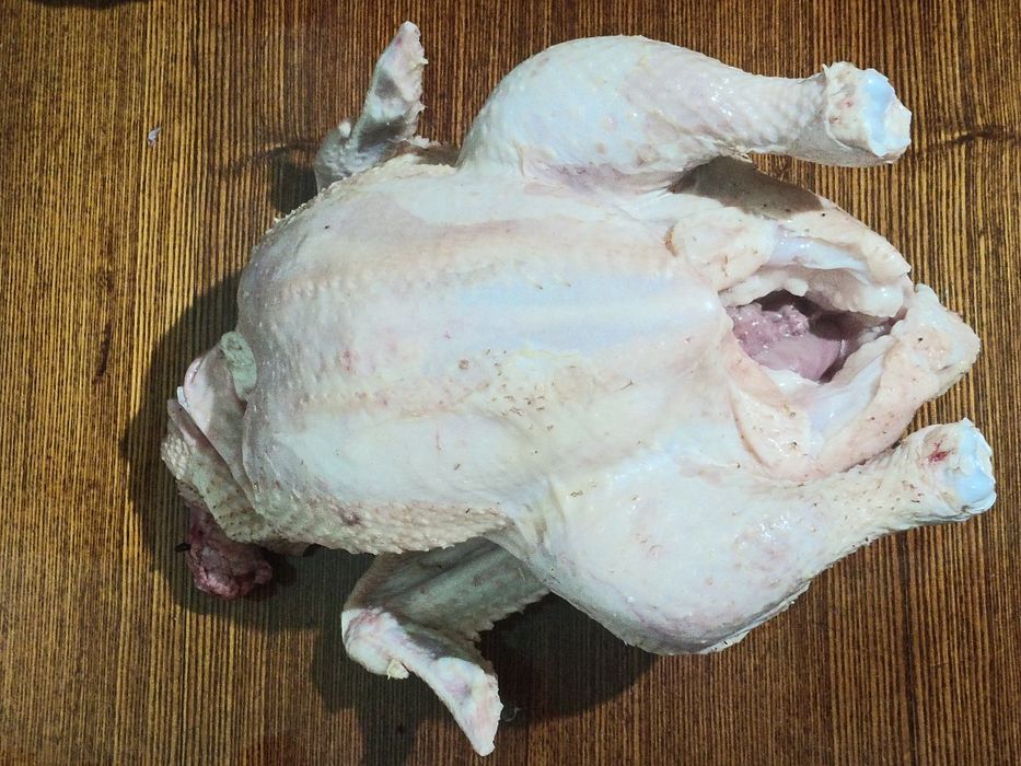 Бройлеры, цыплята мясо