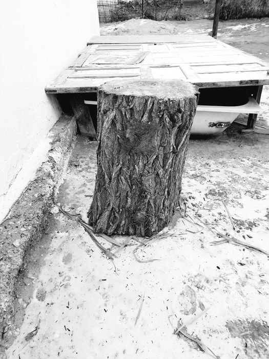 Порно қыздың есегі