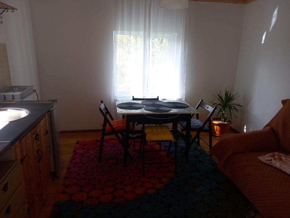 Casuta de inchiriat zona Valea Doftanei
