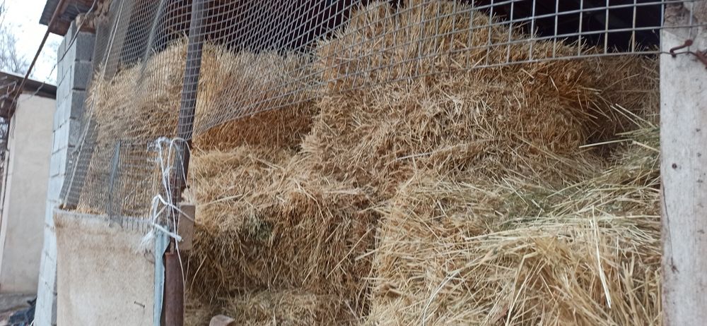 Пресс шоп сатылады