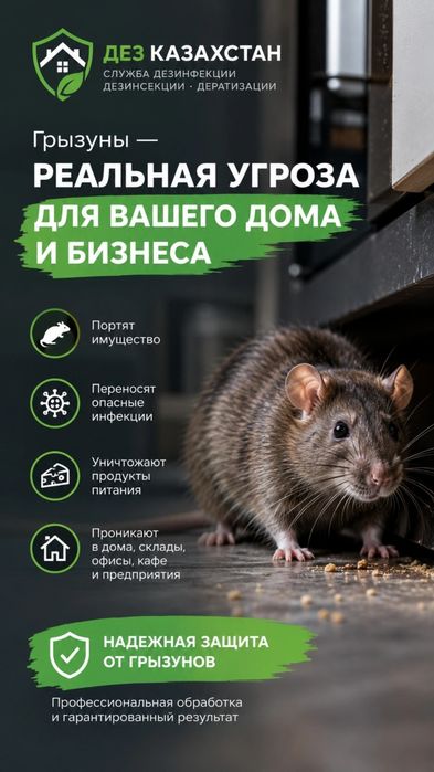 Дезинфекция профессионально, гарантия 100% клопы тараканы мыши крысы