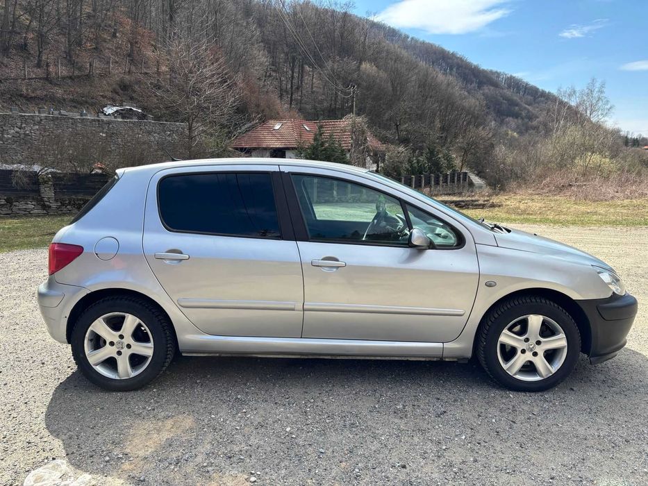 Peugeot 307 1.6 Benzina