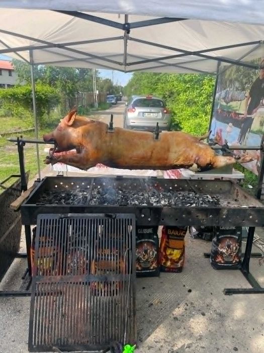 Baboy  Events– servicii complete pentru evenimente