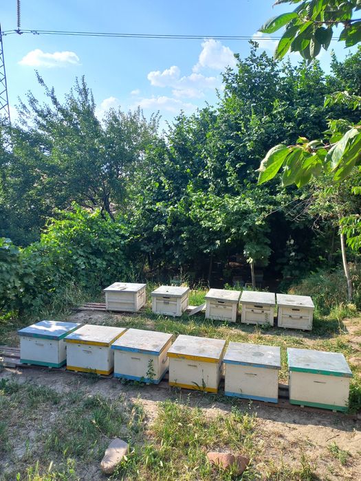 Продаётся дача. 20 соток