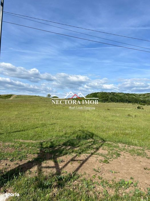 NECTORA IMOB-Teren Intravilan Baile Felix-Usa Oil, 8603 mp, Iesire DN