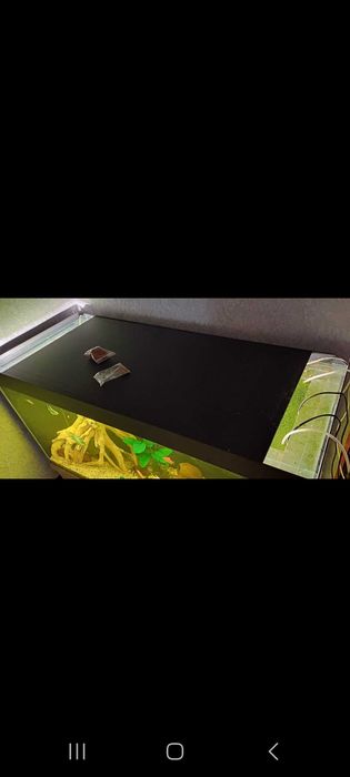 Аквариум для рыб