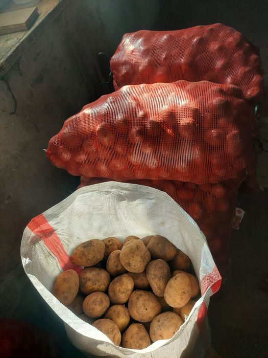 Продаём картошку 200 тг за кг