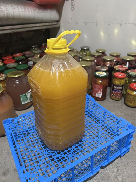 Продам катонский мёд