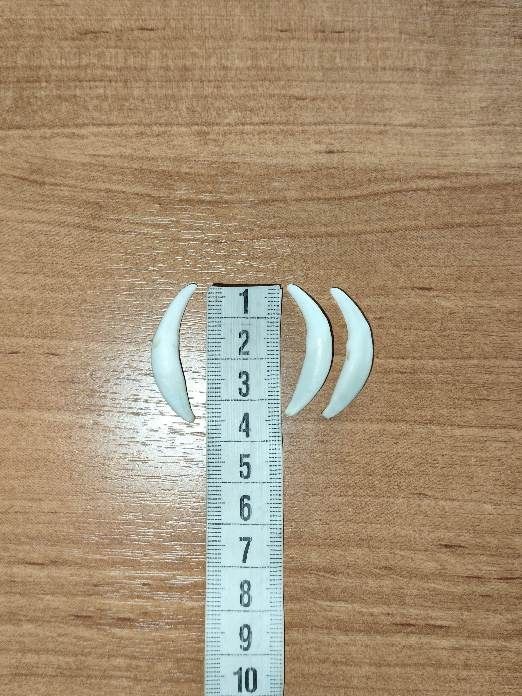 Клык лисы, на оберег