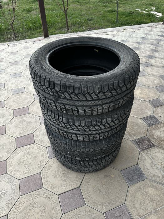 Зимние шины 205 55 R16