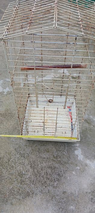 Vind cușcă papagali micul  Alexander