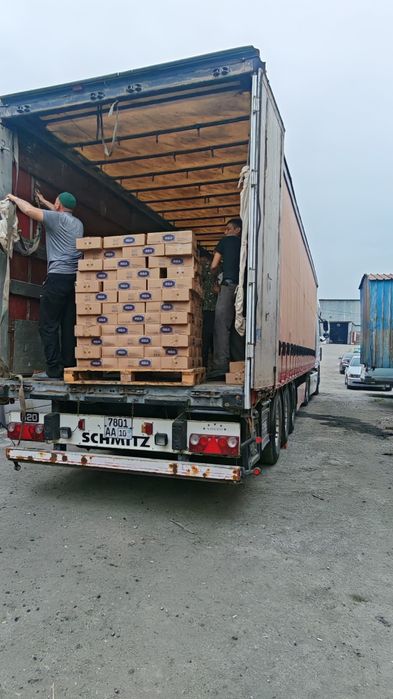 Продается завод по производству хозмыла