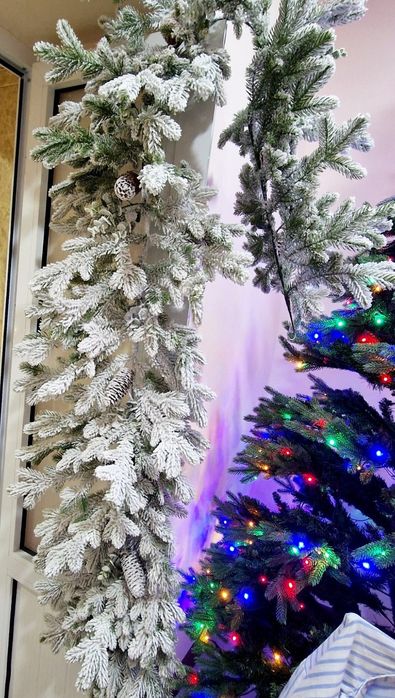 Ёлочная ветка , хвоя , полностью гелывая , заснеженная