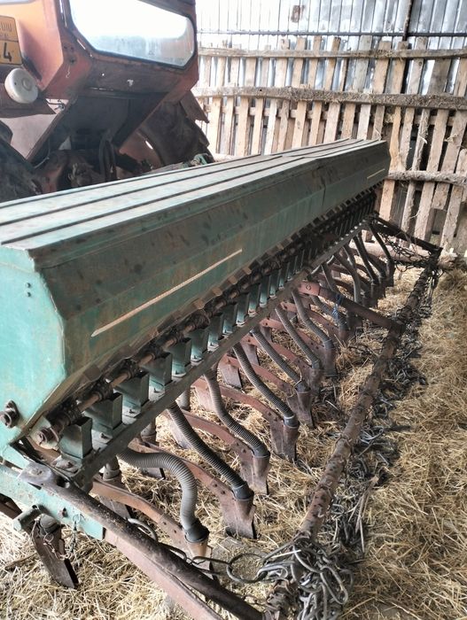 Semanatoare românească sup