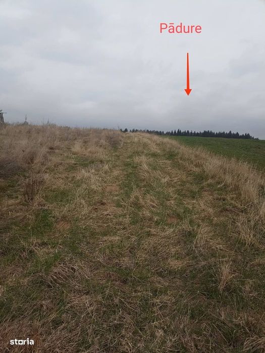 De vânzare teren intravilan în Lacul Reci