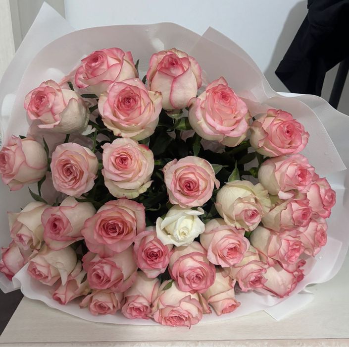 33 штук роза 6000 тг