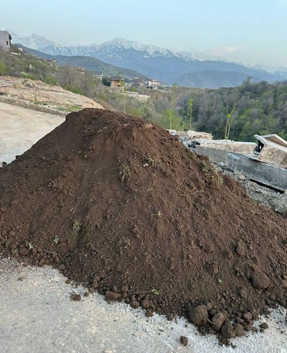 Плодородный чернозем