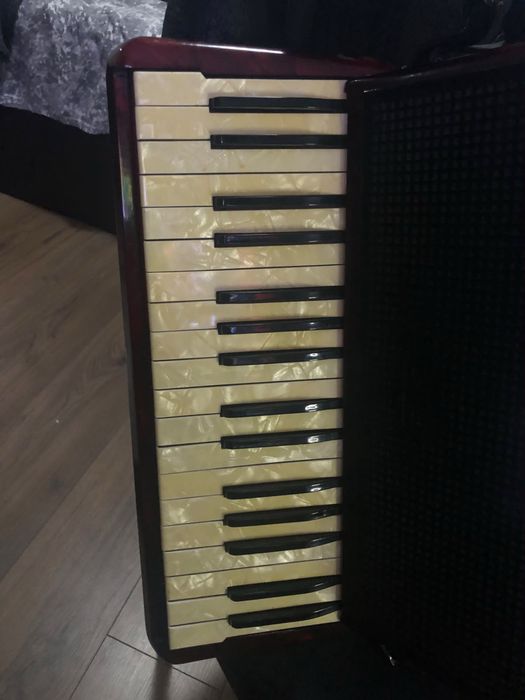 Hohner in sita cu 80 basi
