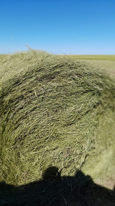 продам крестьянское хозяйство