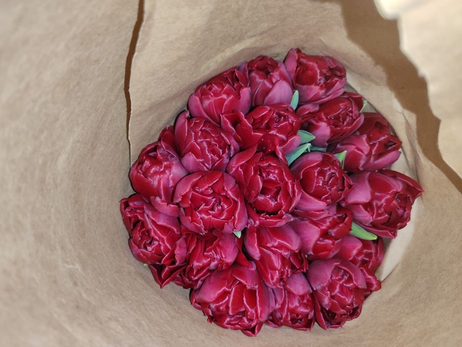 Тюльпаны  Алматы