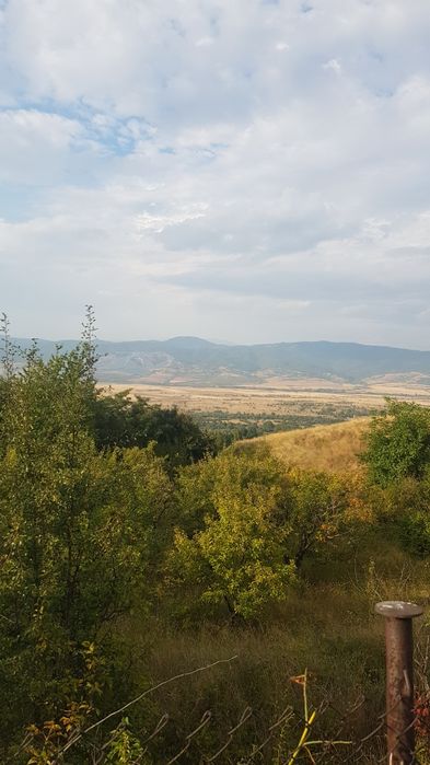 Продава се Парцел в Сапарева баня - 2200 кв.м за 21 €/кв.м - Снимка #1