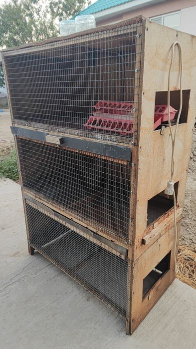 Продам брудер для цыплят