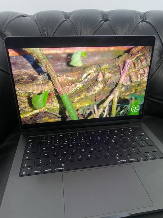 Apple MacBook Pro M3 Pro de vânzare | OLX.ro