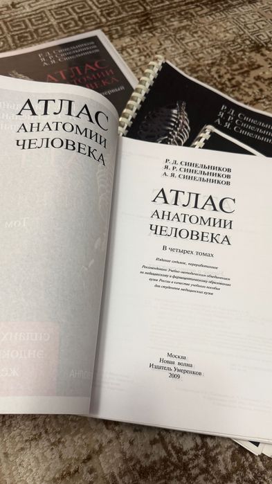 Атлас анатомии человека Синельников