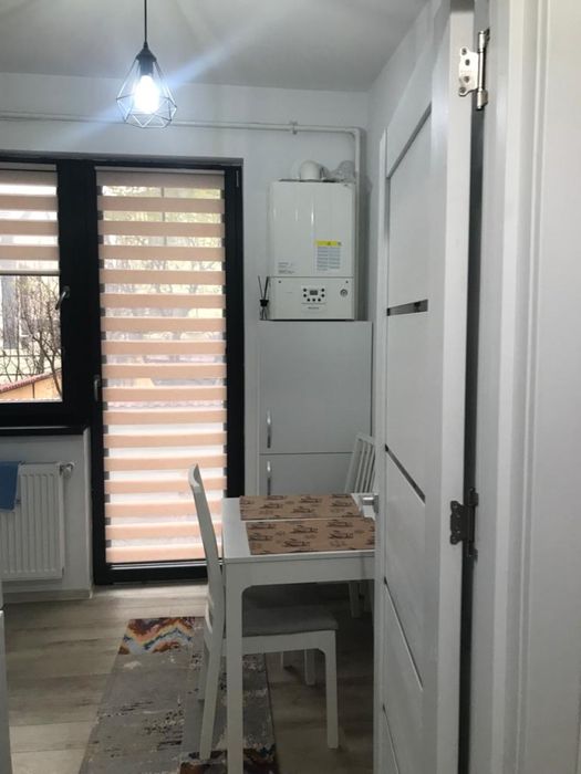 De vanzare garsoniera, proprietar, Gorjului
