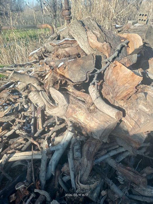 Quruq oʻtin sotiladi mevali daraxt oʻtini