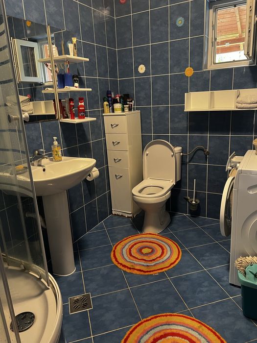 Casa in Paleu, Oradea