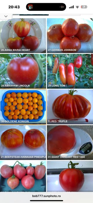 Seminte rosii romanesti si straine ! Am peste 150 soiuri pure !