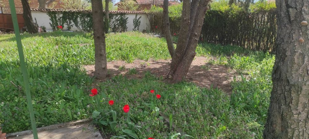 Продава се Къща в с. Асеновец, Област Сливен - 2200 кв.м за 26 €/кв.м - Снимка #6