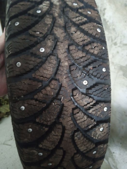 Шина без грыж и порезов одна