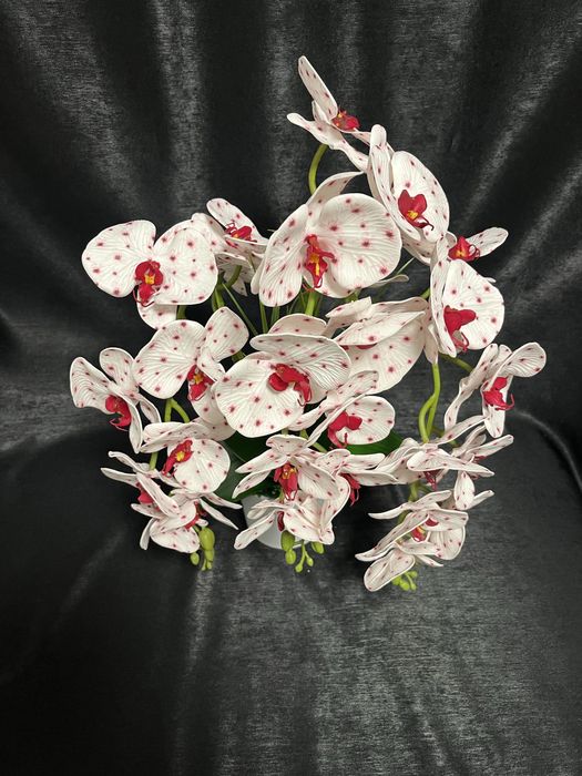 Aranjament orhidee premium