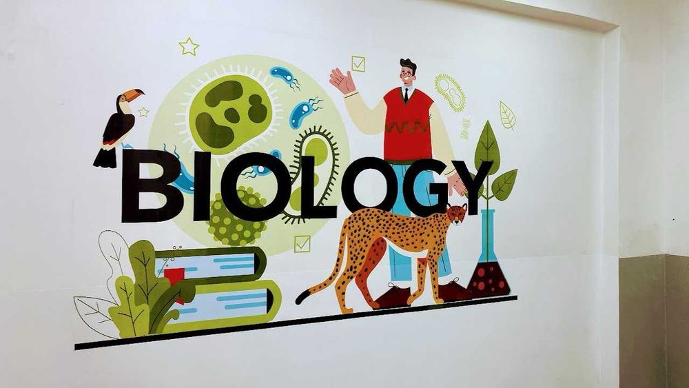 Японский настенный принтер! Принтер для стен! УФ принтер