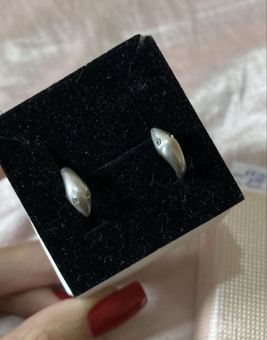 Серебряные сережки, змейки