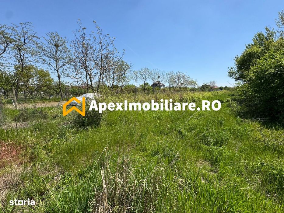 Teren intravilan de vanzare  Cornetu IF | ApexImobiliare.ro