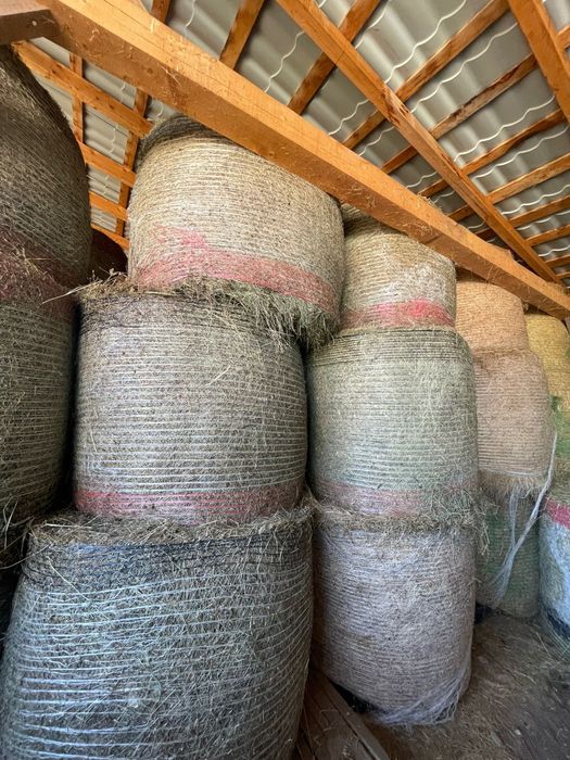 vând baloti de otavă dimensiune 1,50,