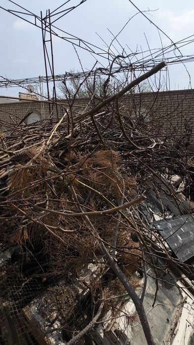 Utin  sotiladi tezroq har-hil daraxtniki