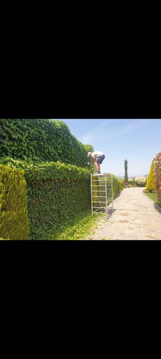 Градинар Косене аериране на тревни площи поливни системи