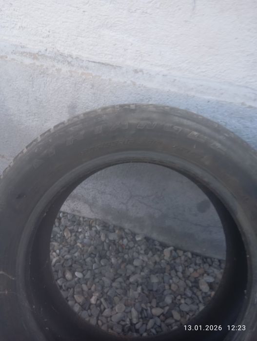 Шины шипованые трианжел