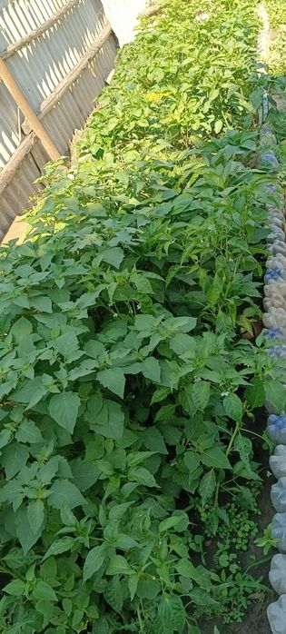 Продам дачу зимний вариант